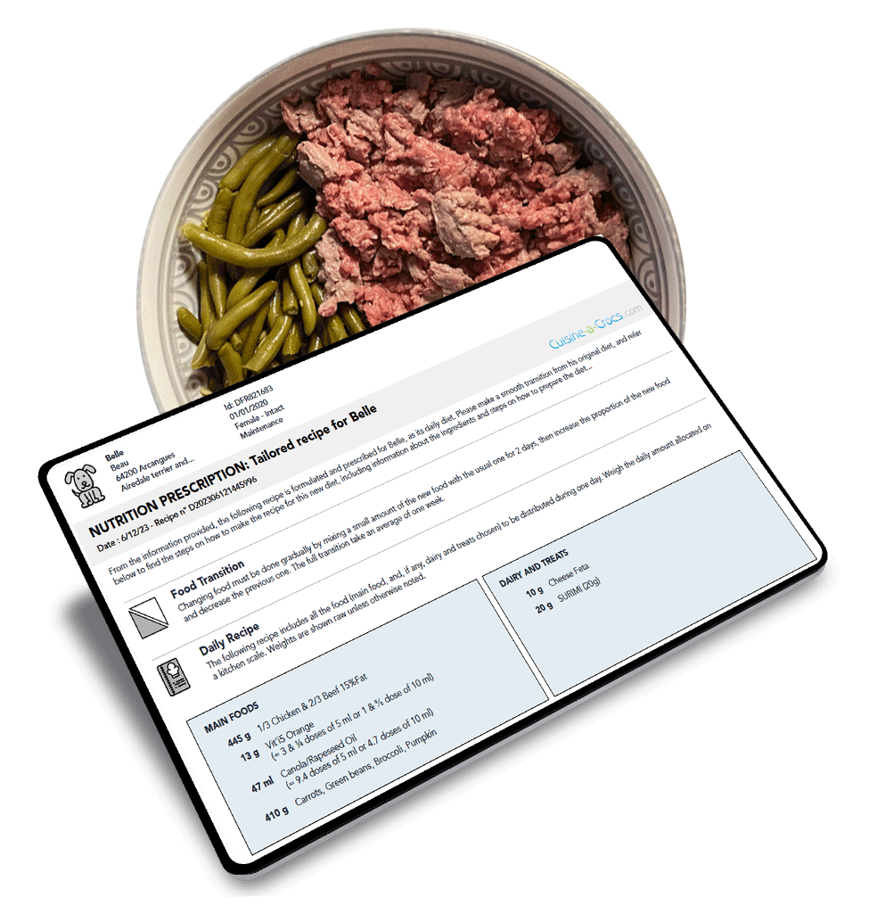 tailor made recipe for a dog